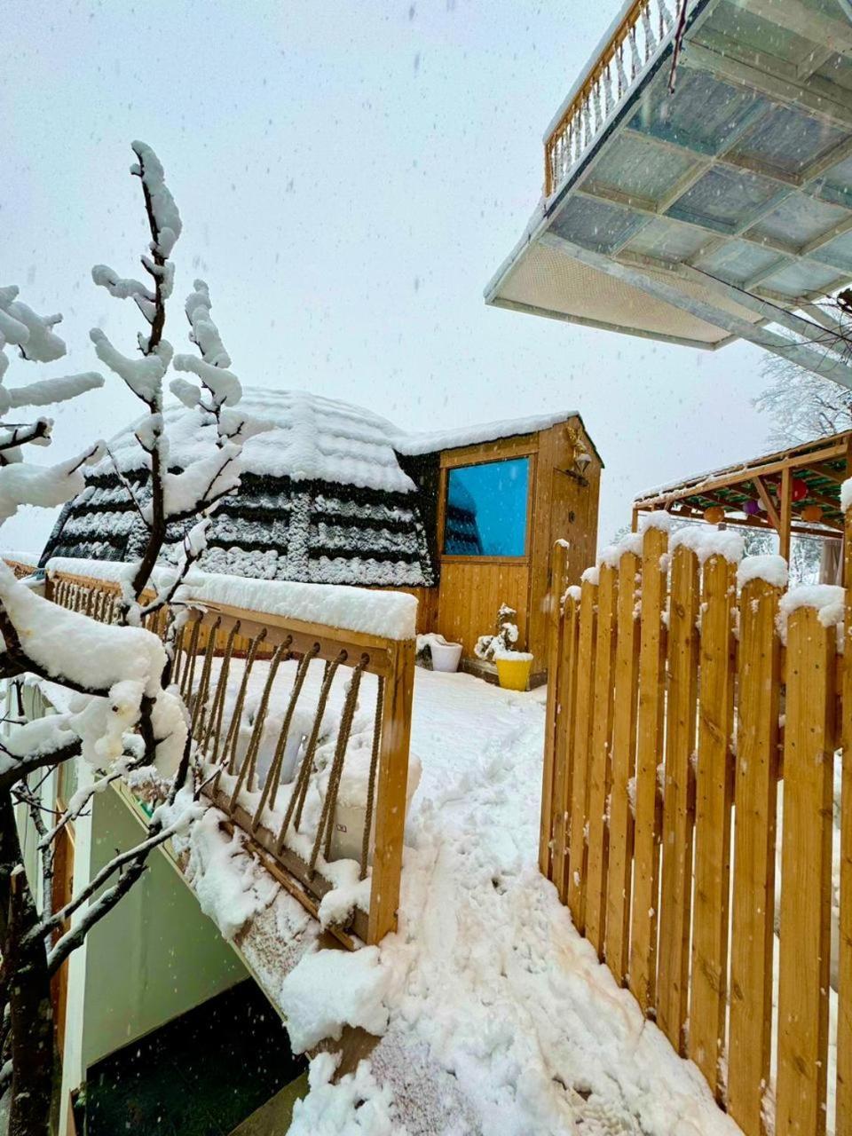 Infinity Sky Glamps Hotel - Manali (Himachal Pradesh) — Photos 2